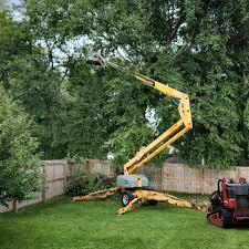 Best Tree and Shrub Care  in Moses Lake North, WA