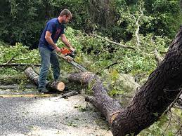 Reliable Moses Lake North, WA Tree Care Services Solutions